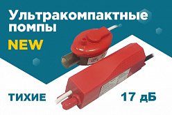 Образец бесплатно